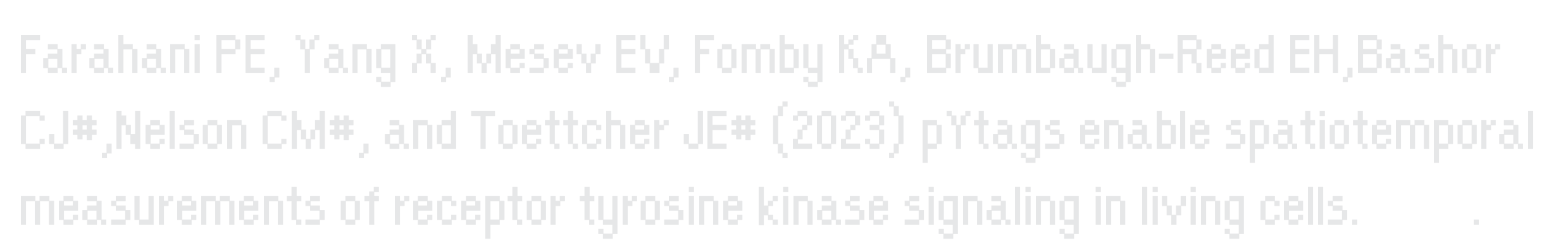 Farahani, Yang, Fomby, Bashor, Nelson, Toettcher (2022) pYtags kinase signaling BioRXiv